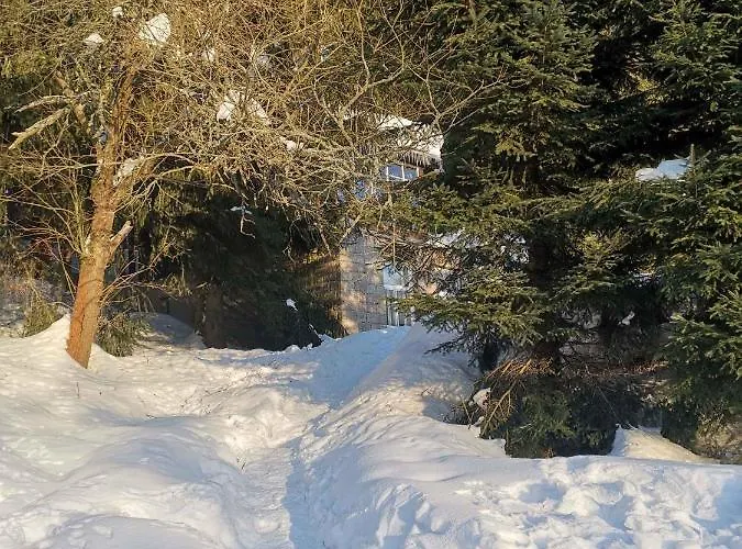 In 2311 Гаррахов